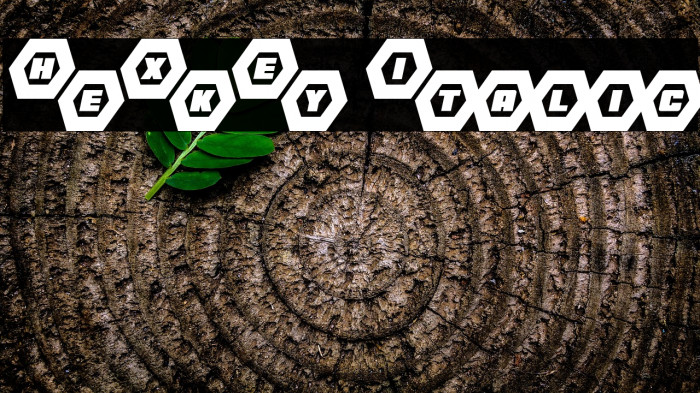 HeXkEy Italic Example 2