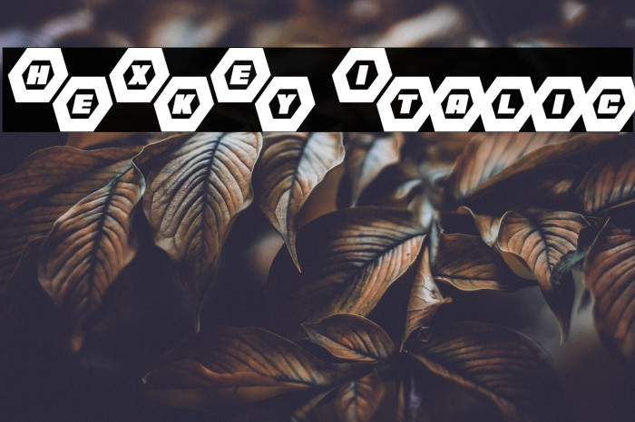 HeXkEy Italic Example 3