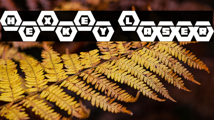 HeXkEy Laser Example 3