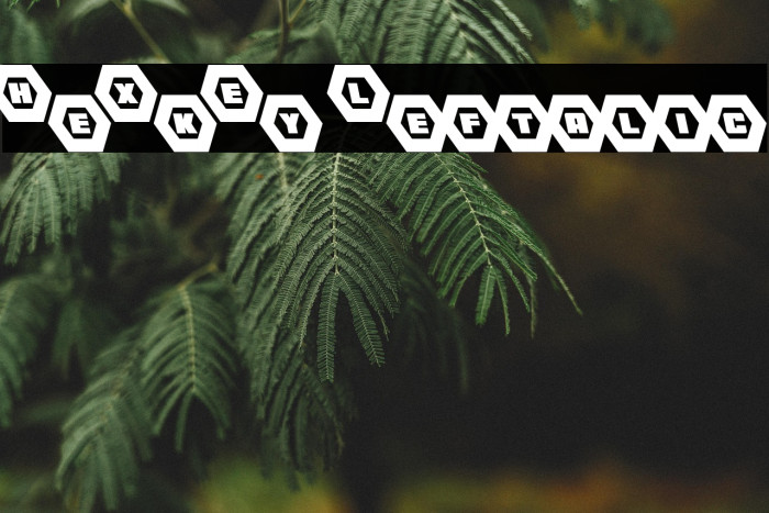 HeXkEy Leftalic Example 1