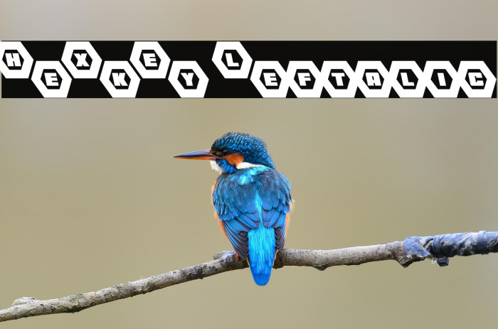 HeXkEy Leftalic Example 2