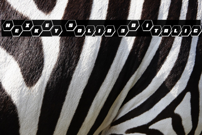 HeXkEy Solid 3D Italic Example 3