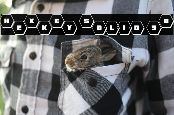 HeXkEy Solid 3D Example 1