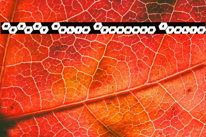 HeXkEy Solid Expanded Italic Example 1