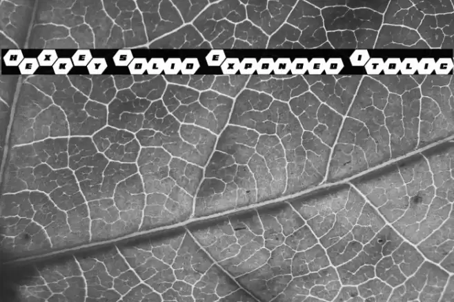 HeXkEy Solid Expanded Italic Font examples