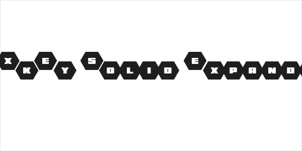 HeXkEy Solid Expanded Logo