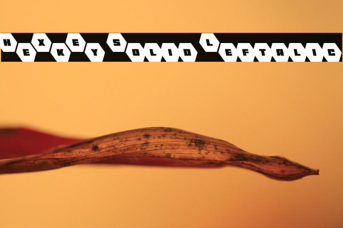 HeXkEy Solid Leftalic Example 1