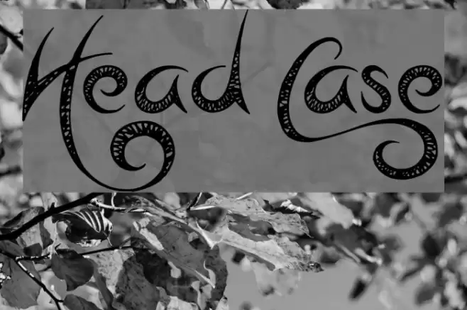 Head Case Font examples