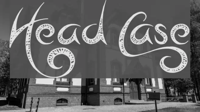 Head Case Font examples