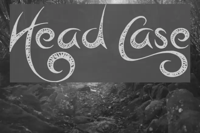 Head Case Font examples