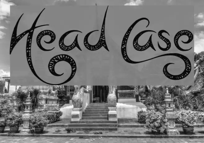 Head Case Font examples