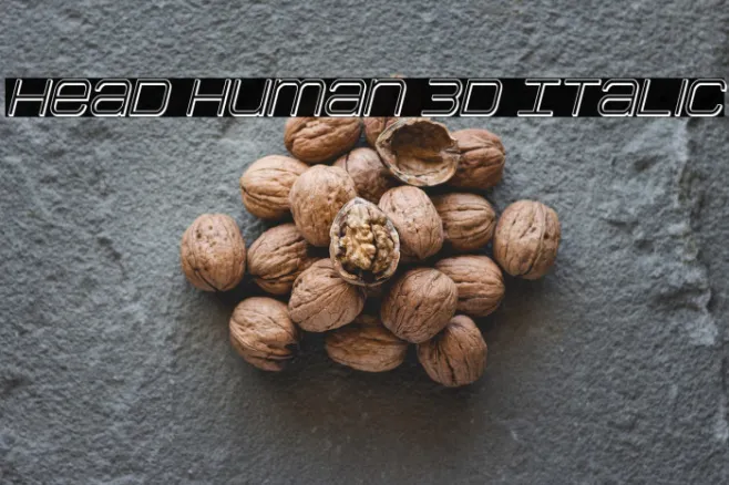 Head Human 3D Italic Example 2