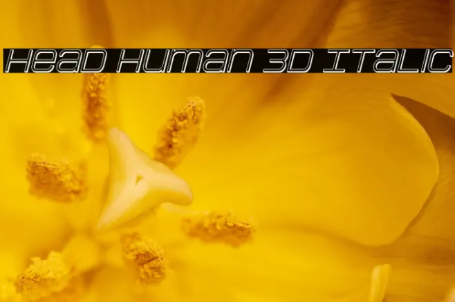 Head Human 3D Italic Example 3