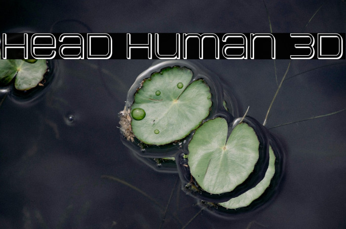 Head Human 3D Example 1