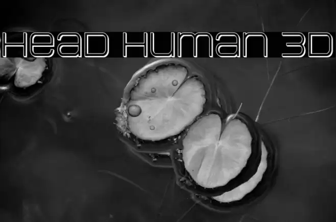 Head Human 3D Font examples