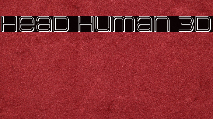 Head Human 3D Example 2