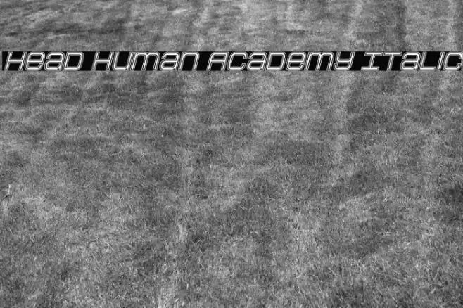 Head Human Academy Italic Font examples