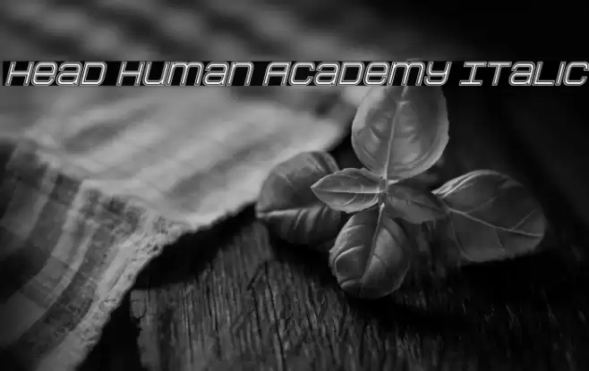 Head Human Academy Italic Font examples