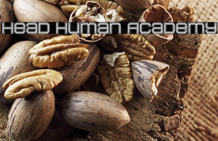Head Human Academy Example 3