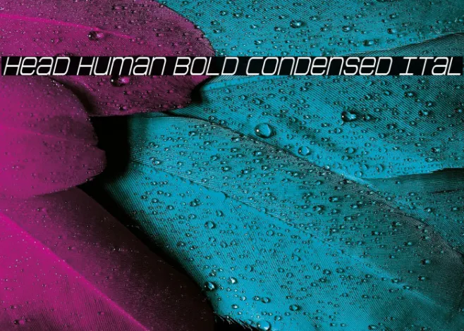 Head Human Bold Condensed Ital Example 2