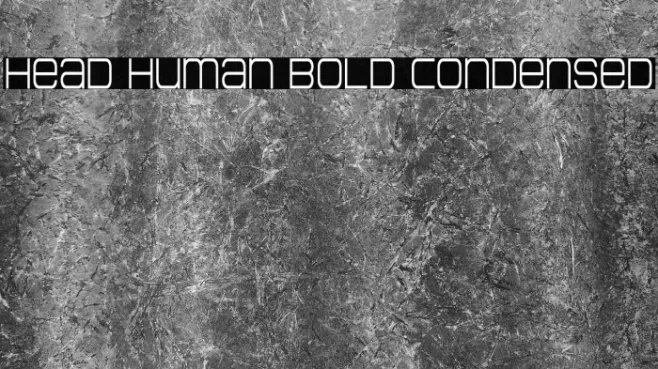 Head Human Bold Condensed Example 2