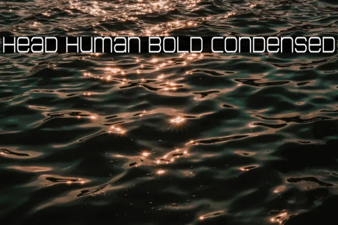 Head Human Bold Condensed Example 3