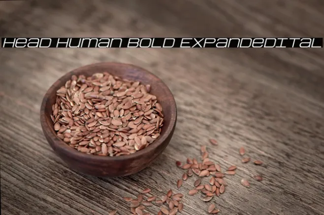 Head Human Bold ExpandedItal Example 1