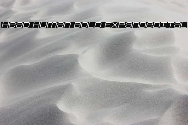 Head Human Bold ExpandedItal Example 3