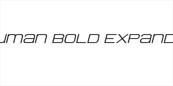 Head Human Bold ExpandedItal Logo