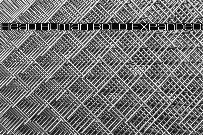 Head Human Bold Expanded Example 3