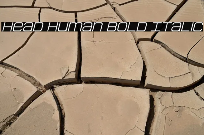 Head Human Bold Italic Example 2