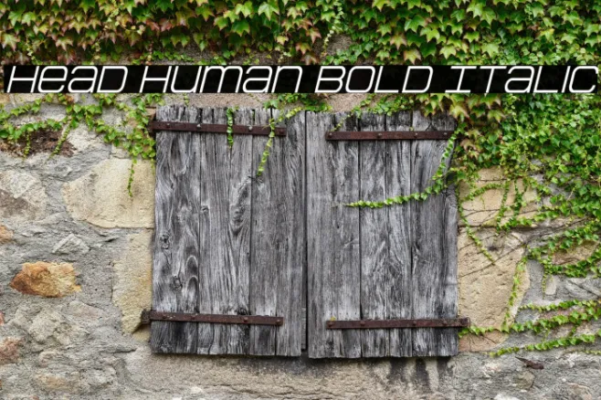 Head Human Bold Italic Example 3