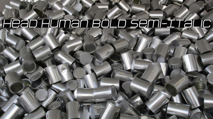 Head Human Bold Semi-Italic Example 1
