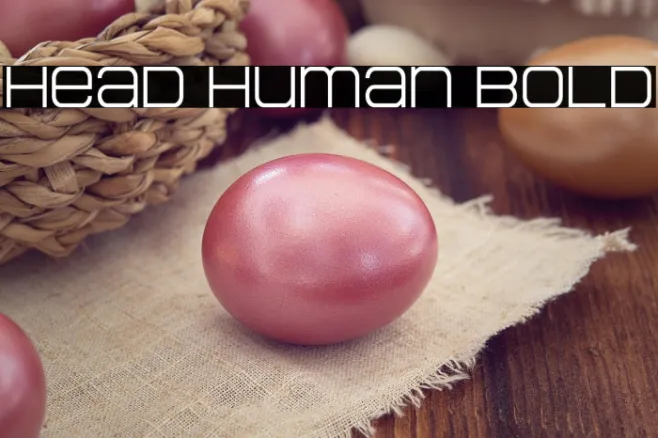 Head Human Bold Example 1