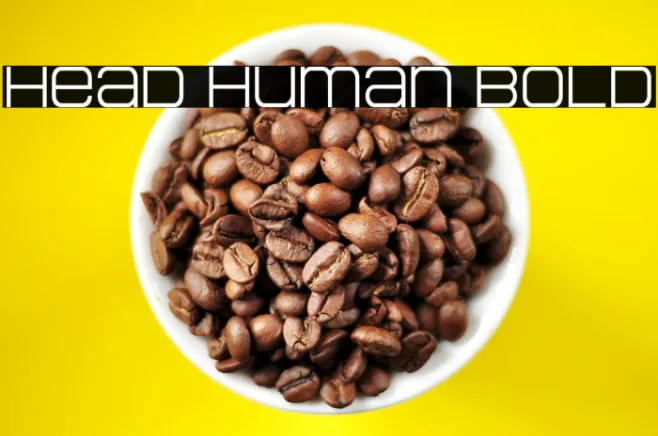 Head Human Bold Example 3