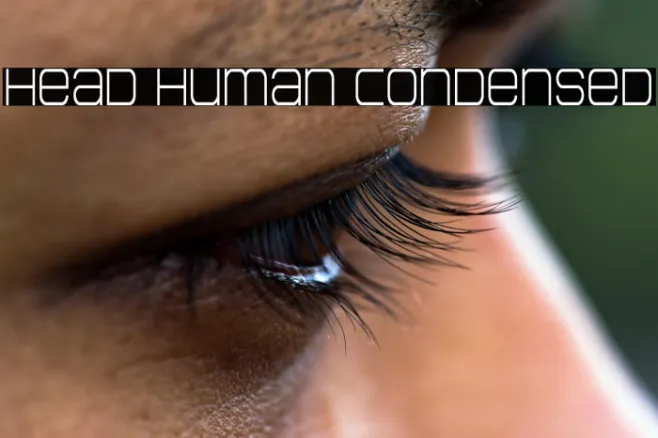 Head Human Condensed Example 3