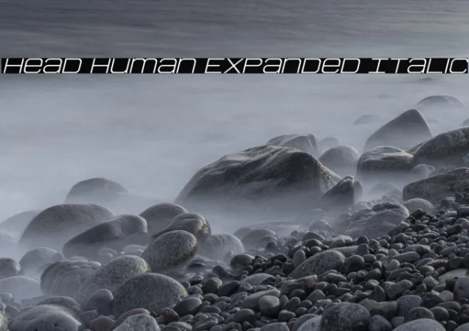 Head Human Expanded Italic Example 1