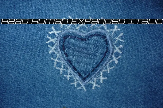 Head Human Expanded Italic Example 2
