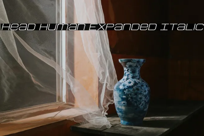Head Human Expanded Italic Example 3