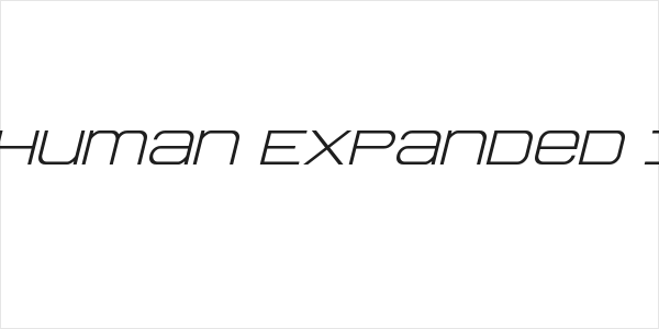 Head Human Expanded Italic Logo