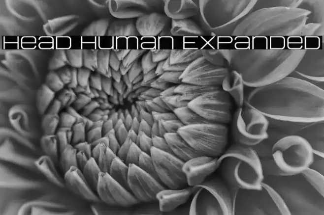 Head Human Expanded Font examples