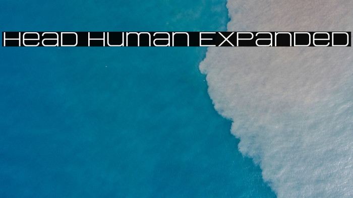 Head Human Expanded Example 2