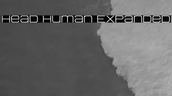 Head Human Expanded Font examples