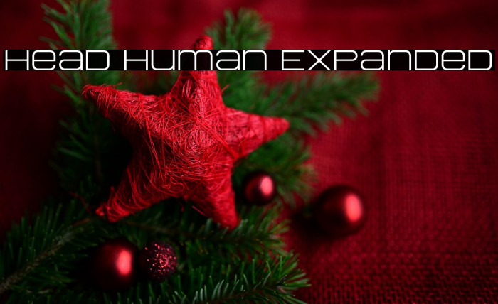 Head Human Expanded Example 3