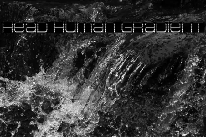 Head Human Gradient Font examples