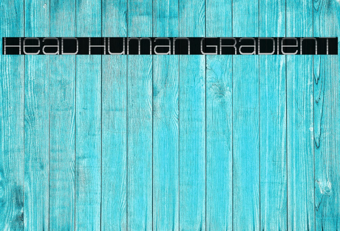 Head Human Gradient Example 3