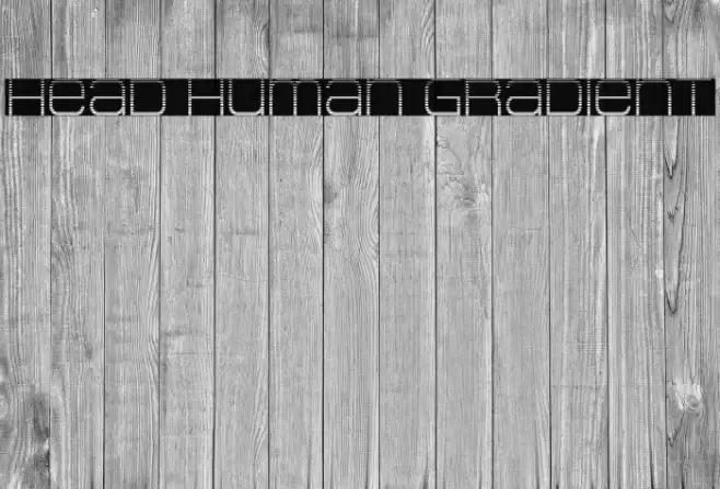 Head Human Gradient Font examples