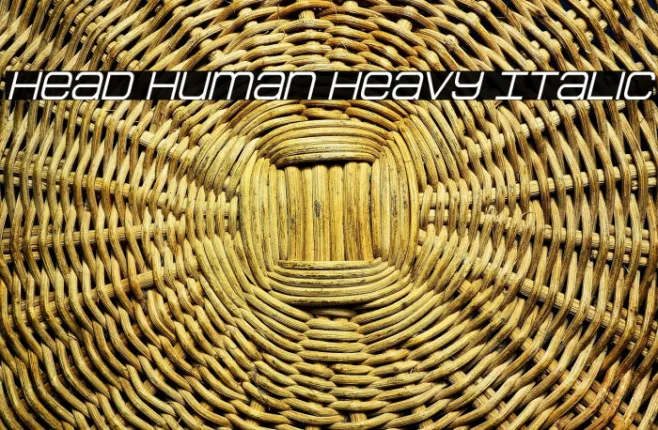 Head Human Heavy Italic Example 1