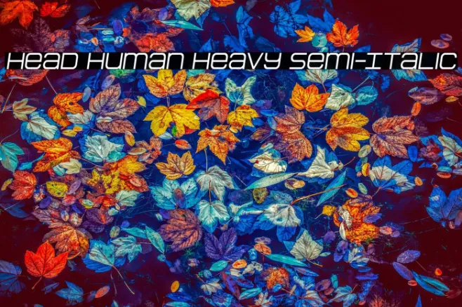 Head Human Heavy Semi-Italic Example 1