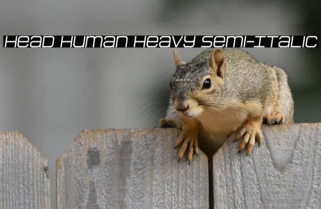 Head Human Heavy Semi-Italic Example 2